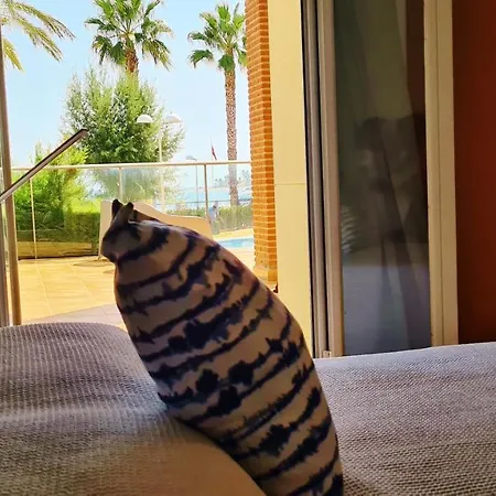 Terraza Al Mar Apartmán *